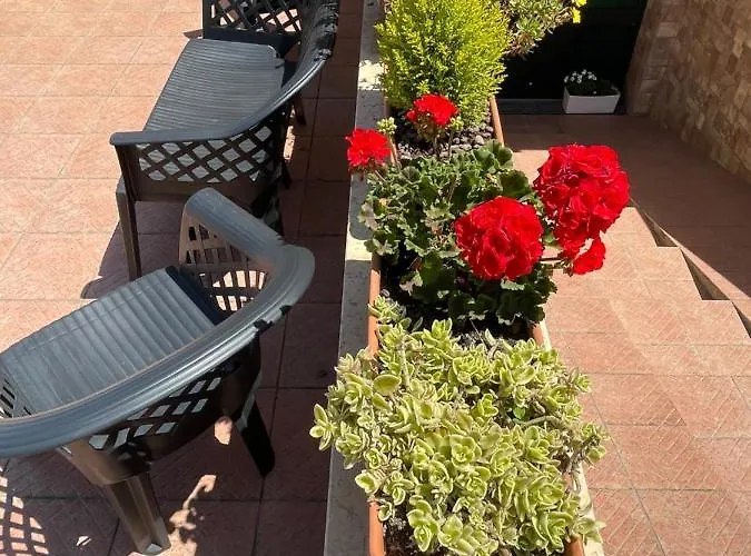 Quammare 4* ורנולה